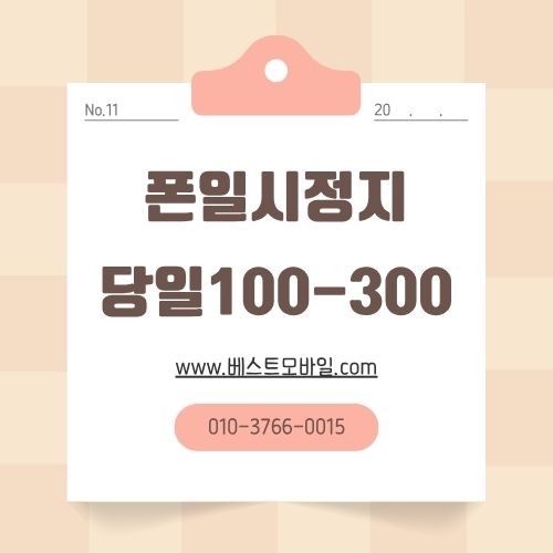 폰일시정지