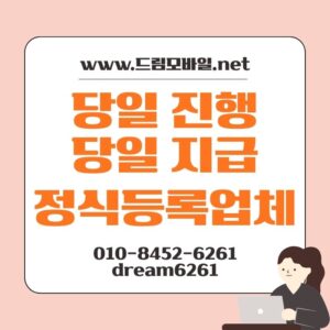대납개통